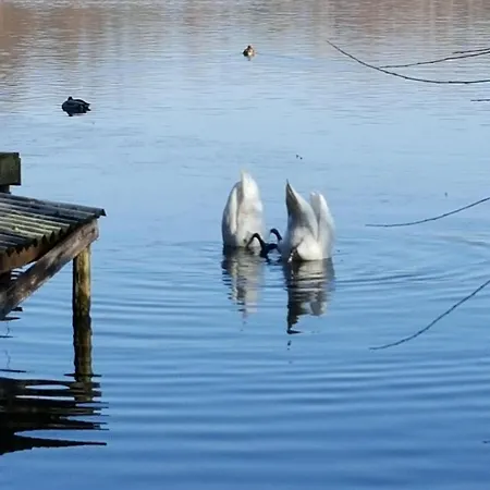 Haus Waldidyll Am 1 Schorfheide