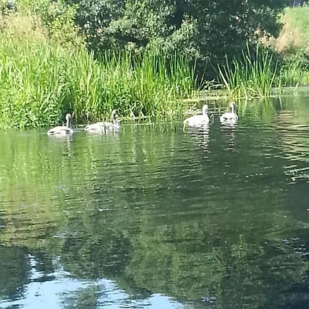 Haus Waldidyll Am 1 3* Schorfheide