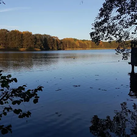 Guest house Haus Waldidyll Am 1 3*