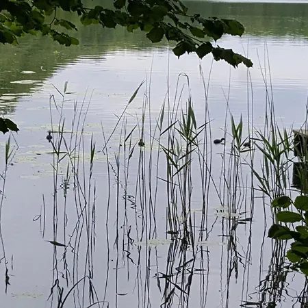 Haus Waldidyll Am 1 Schorfheide