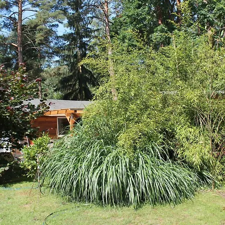 Haus Waldidyll Am 1 Guest house Schorfheide