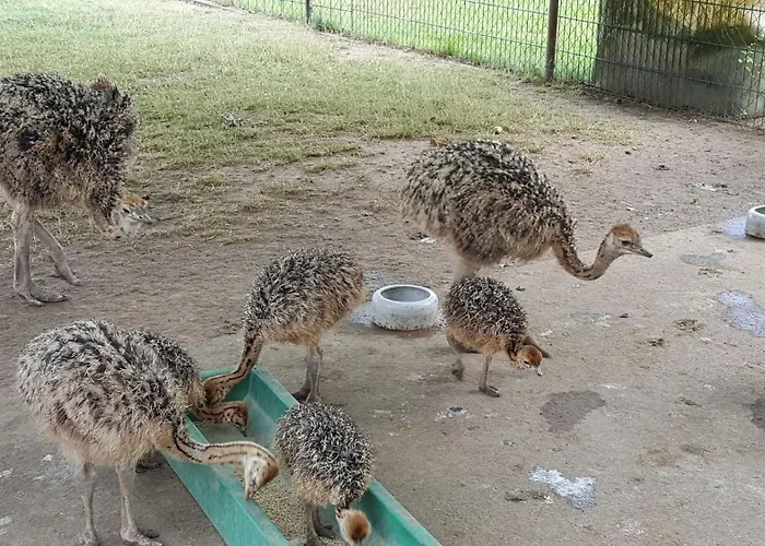 Haus Waldidyll Am 1 Шорфхайде