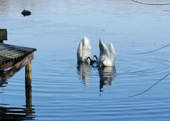 Haus Waldidyll Am 1 Шорфхайде