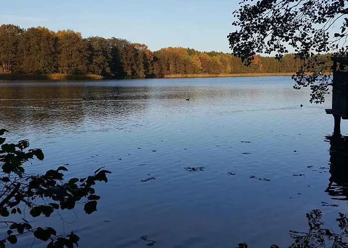 Гостевой дом Haus Waldidyll Am 1 3*