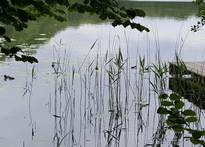 Haus Waldidyll Am 1 Шорфхайде