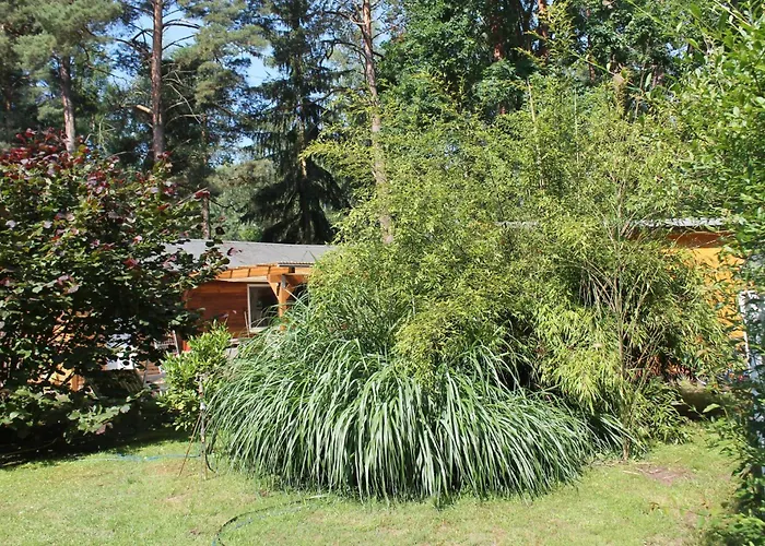 Haus Waldidyll Am 1 Гостевой дом Шорфхайде