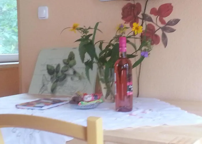 Гостевой дом Haus Waldidyll Am 1 Шорфхайде